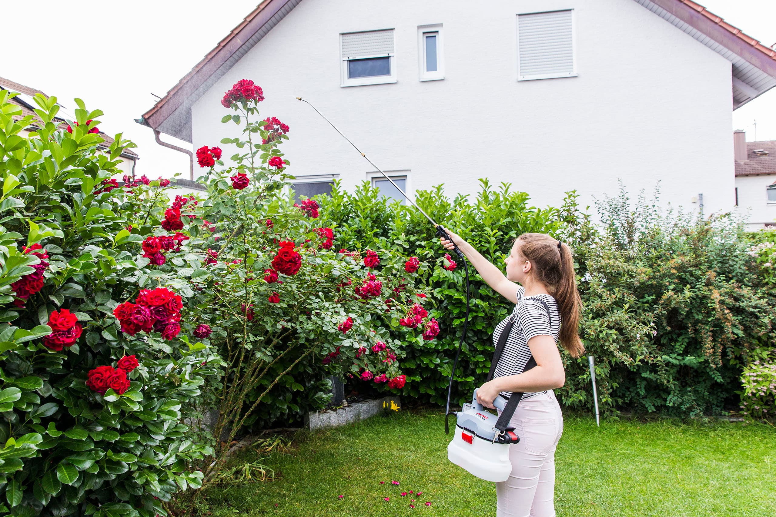 Обприскувач акумуляторний РS 2035