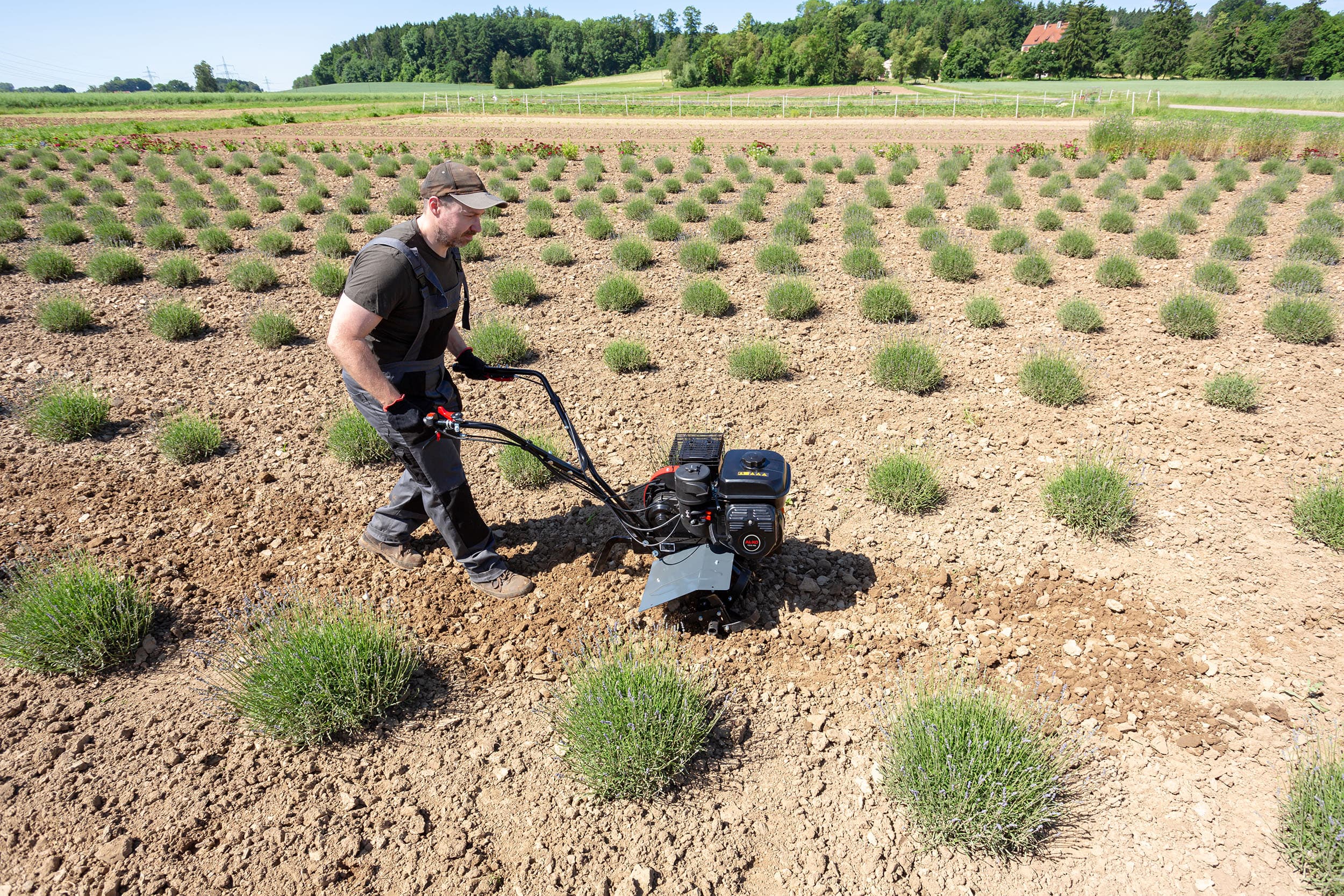 Культиватор бензиновий MH 540